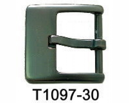 T1097-30 DBNP