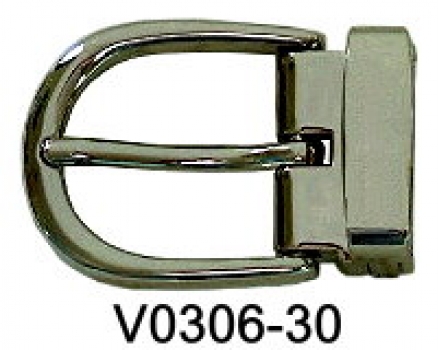 V0306-30 NPNP