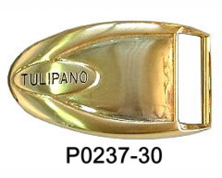 P0237-30 NSGP