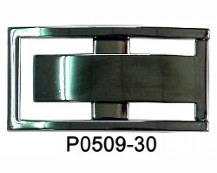 P0509-30 BNP