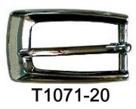 T1071-20 BNP