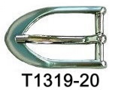 T1319-20 NS