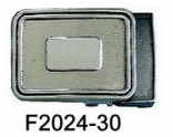 F2024-30 NS/NP