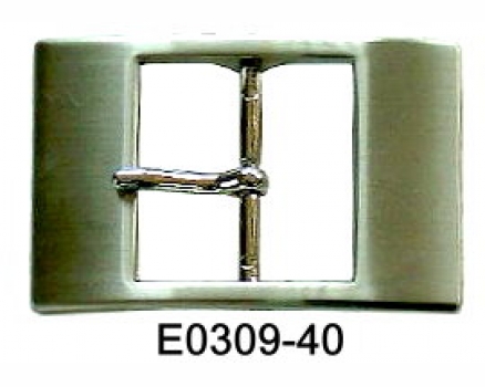 E0309-40 NS