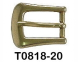 T0818-20 NS